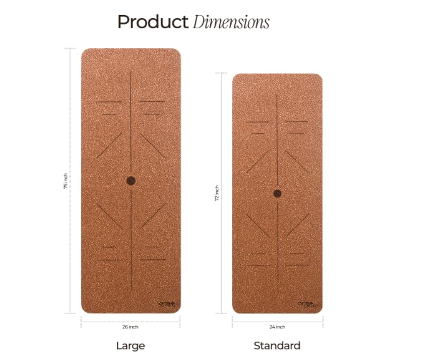 Home Gym Setup Under ₹20,000: 9 Powerful Equipment Picks That Work